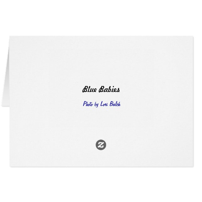 Blue Babies (Back Horizontal)