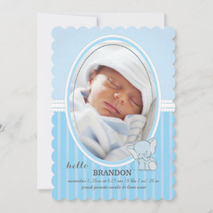 Blue Baby Elephant Photo Announcement