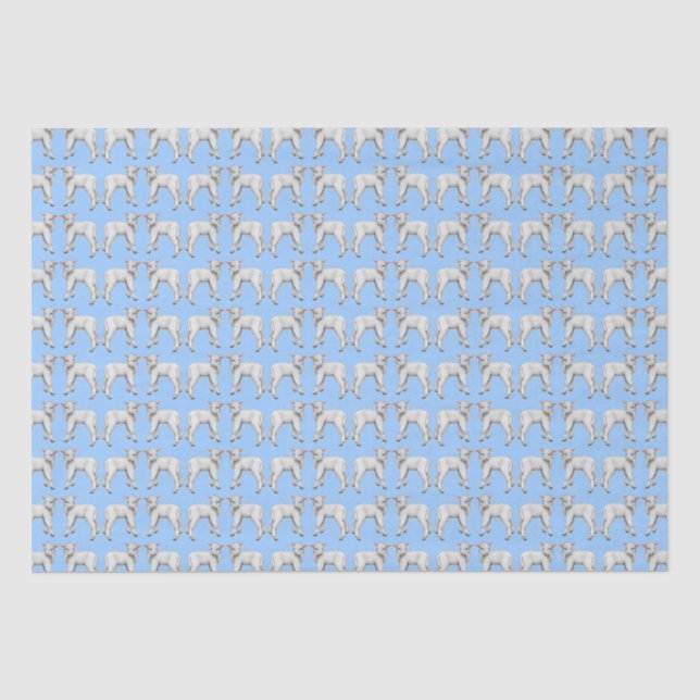 Blue Baby Lamb Tissue Paper (Front)