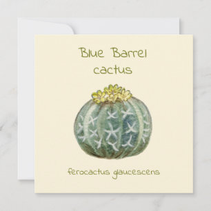 Blue Barrel cactus greeting card
