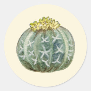 Blue Barrel cactus sticker