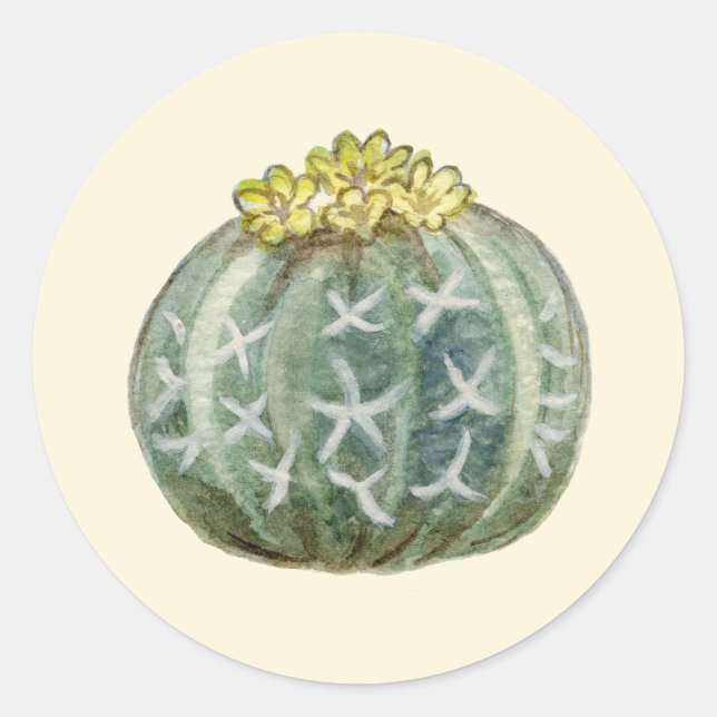 Blue Barrel cactus sticker (Front)