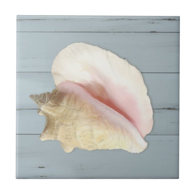 Blue Beach Conch Seashell Coastal Shell Wood Ceramic Tile (Front)
