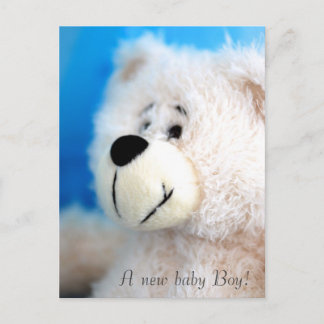 Blue Bear Announcement Postcard