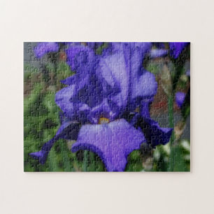 Blue Bearded Iris Flower Jigsaw Puzzle