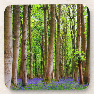 Blue Bells in the Spring Coaster