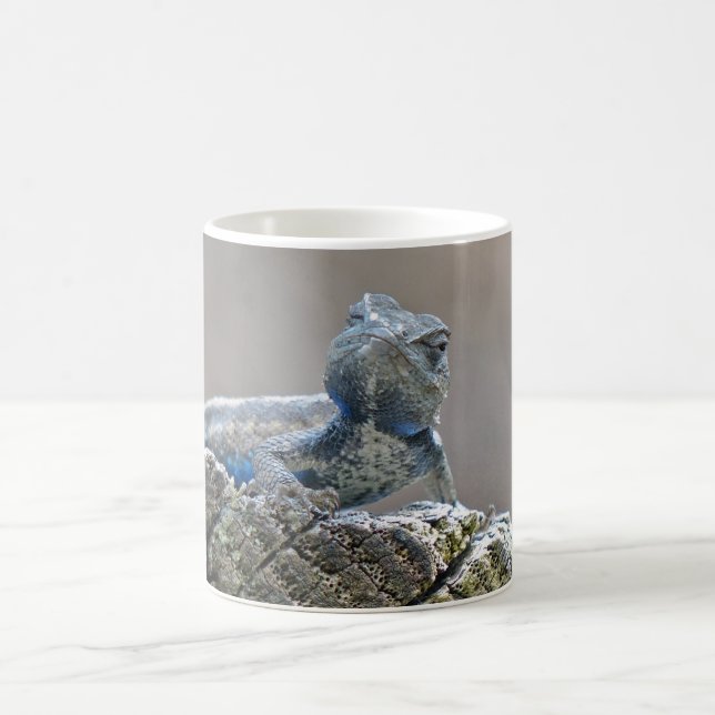 Blue Belly Alligator Lizard Coffee Mug (Center)