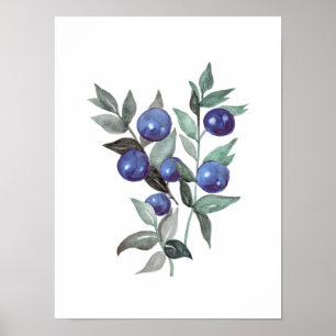 Blue berries Fruit Watercolor Artwork Poster