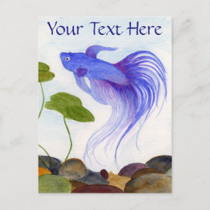 Blue Betta Fish Postcard
