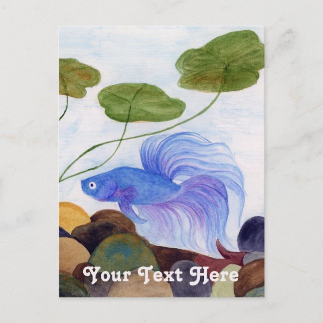 Blue Betta Fish Postcard (Front)