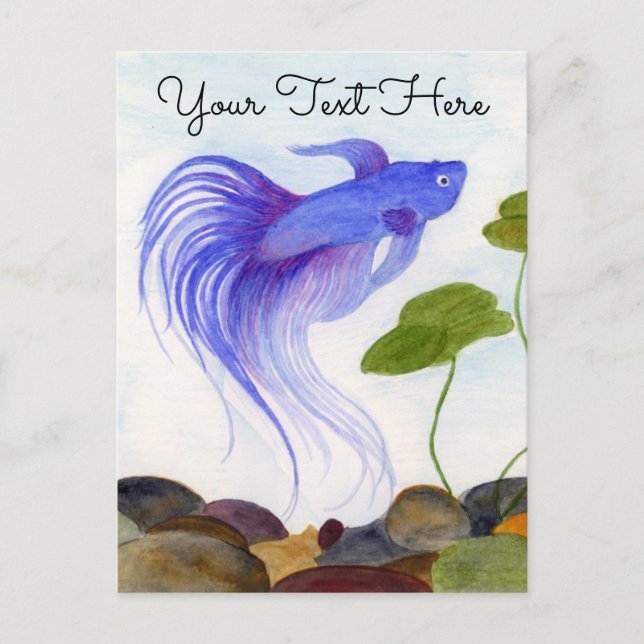 Blue Betta Fish Postcard (Front)