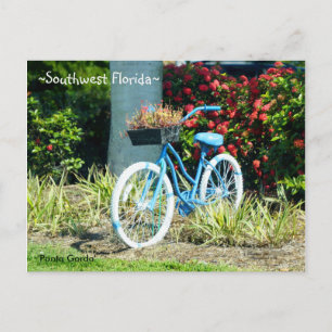 Blue Bicycle Southwest Florida Postcard