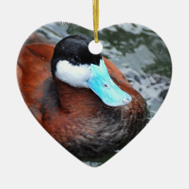 Blue Billed Duck Ornaments (Front)