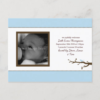 Blue Bird Baby Announcement Postcard