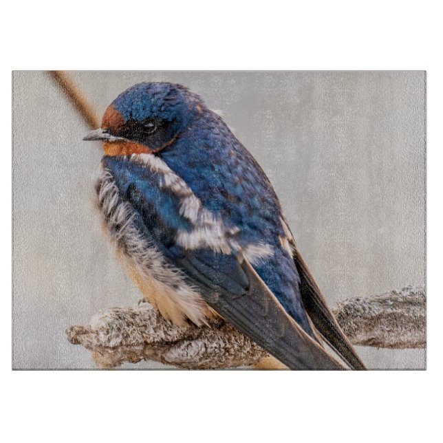 Blue Bird, Barn Swallow, Canadian Photography Cutting Board (Front)