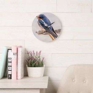 Blue Bird, Barn Swallow, Canadian Photography Large Clock
