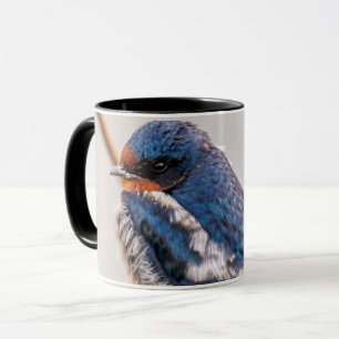 Blue Bird, Barn Swallow Mug