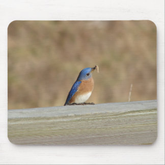 Blue Bird Breakfast Mouse Pad