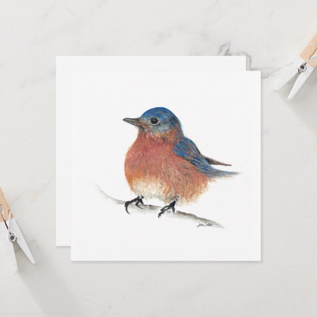 Blue Bird Card (Front/Back In Situ)