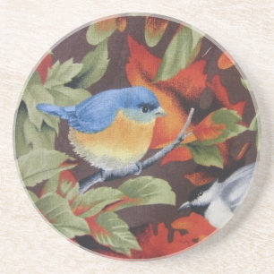 Blue Bird Coaster