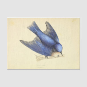 Blue Bird Ephemera Decoupage Tissue Paper