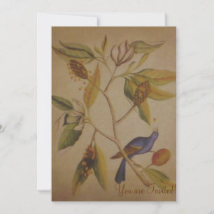 Blue Bird ~ Invitation Bird Nature Animal Love