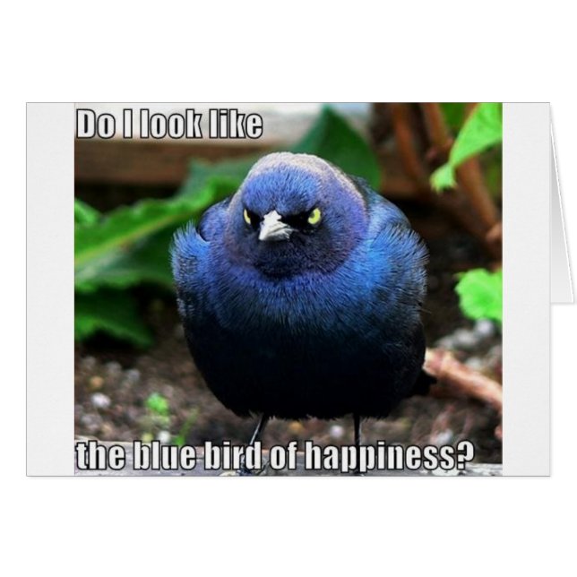 blue bird of happiness (Front Horizontal)