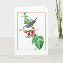 Blue Bird on a Raspberry Branch