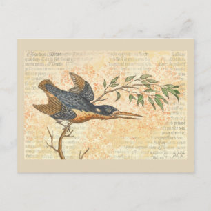 Blue Bird on Branch Postcard