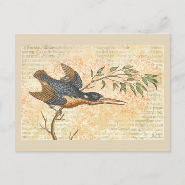 Blue Bird on Branch Postcard (Front)