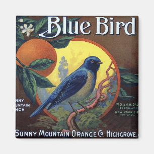 Blue Bird Orange Crate Label Magnet