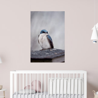 Blue Bird Poster