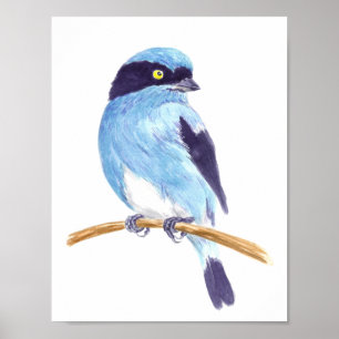 Blue bird poster