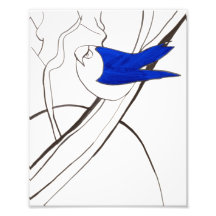 Blue Bird Print