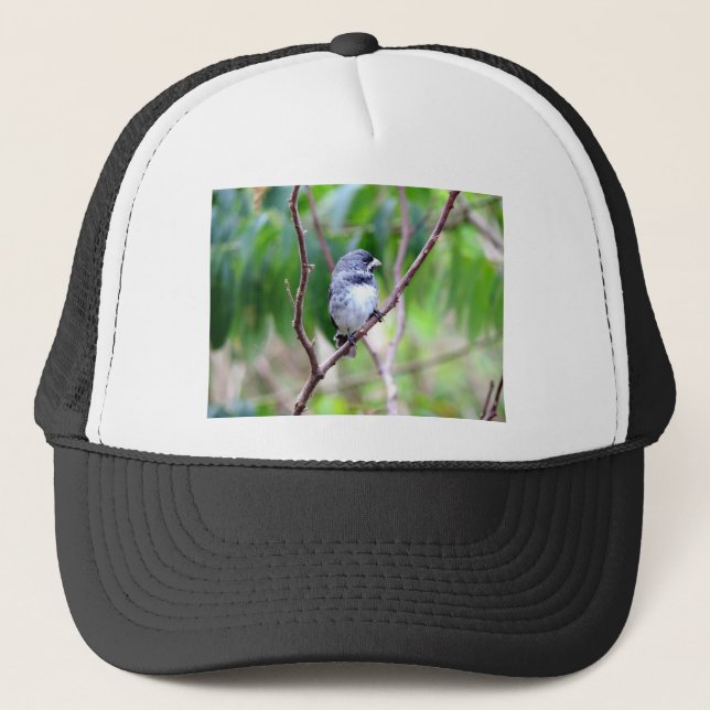 Blue Bird Trucker Hat (Front)