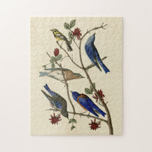 Blue-birds and Warbler, Audubon's Birds of America Jigsaw Puzzle