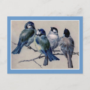 Blue Birds on a Branch Postcard