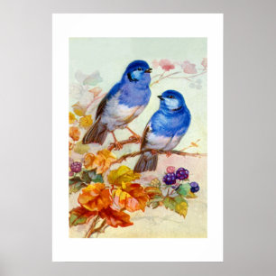 Blue birds poster