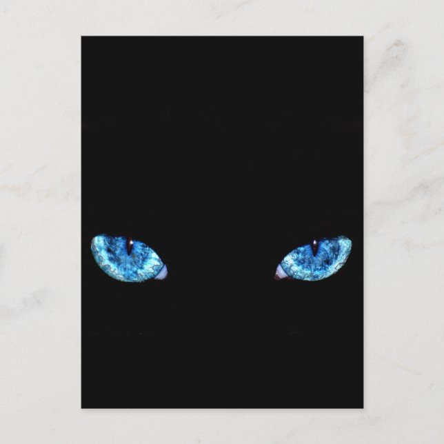 Blue Black Cat Eyes Postcard (Front)