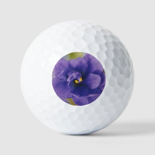 Blue Blooming Flower of Violet Saintpaulia Zoomed Golf Balls (Front)