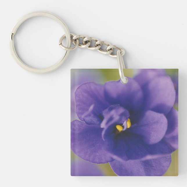 Blue Blooming Flower of Violet Saintpaulia Zoomed Key Ring (Front)