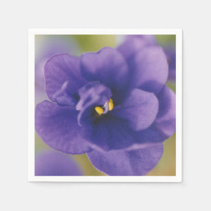 Blue Blooming Flower of Violet Saintpaulia Zoomed Napkin