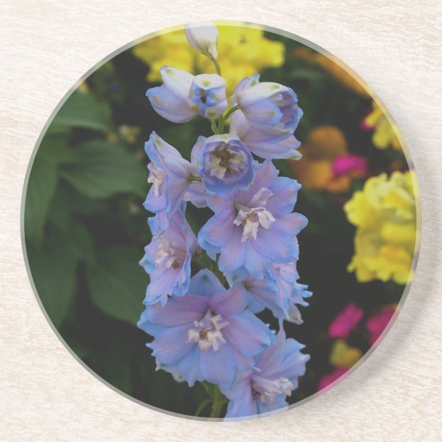 Blue Blooms Photograph Coaster (Front)
