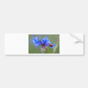 Blue Blossoms Ladybug Peace Love Destiny Art Vine Bumper Sticker