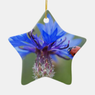 Blue Blossoms Ladybug Peace Love Destiny Art Vine Ceramic Ornament