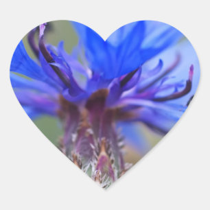 Blue Blossoms Ladybug Peace Love Destiny Art Vine Heart Sticker