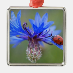 Blue Blossoms Ladybug Peace Love Destiny Art Vine Metal Tree Decoration