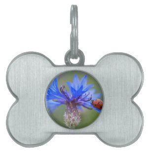 Blue Blossoms Ladybug Peace Love Destiny Art Vine Pet ID Tag