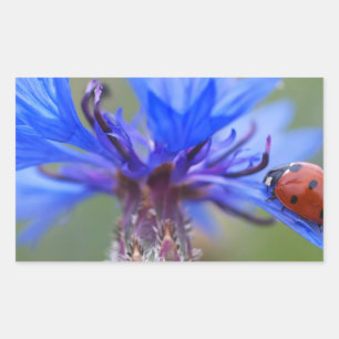 Blue Blossoms Ladybug Peace Love Destiny Art Vine Rectangular Sticker