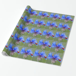 Blue Blossoms Ladybug Peace Love Destiny Art Vine Wrapping Paper